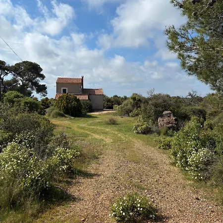 Maison Au Coeur De La Garrigue *