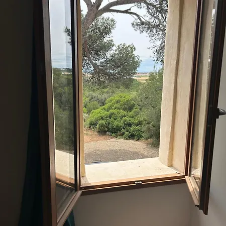 Maison Au Coeur De La Garrigue *